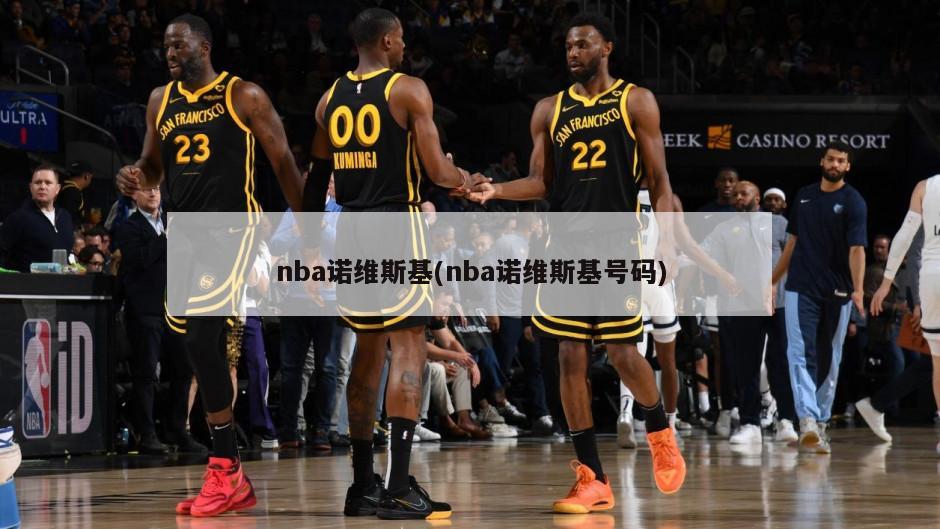 nba诺维斯基(nba诺维斯基号码)